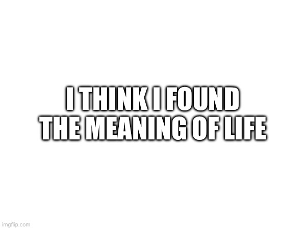 I think I finally did it | I THINK I FOUND THE MEANING OF LIFE | image tagged in tag | made w/ Imgflip meme maker