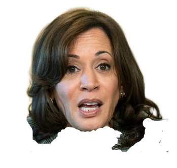 Kamala head Blank Meme Template