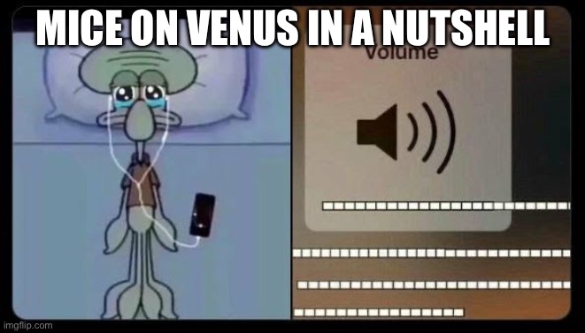 :’) | MICE ON VENUS IN A NUTSHELL | image tagged in sad squidward,mice,venus,piano,nostalgia | made w/ Imgflip meme maker