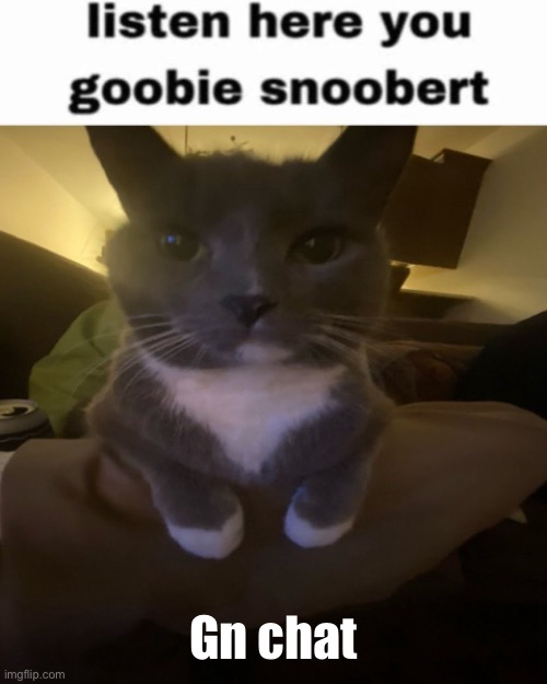 Listen here you goobie snoobert | Gn chat | image tagged in listen here you goobie snoobert | made w/ Imgflip meme maker