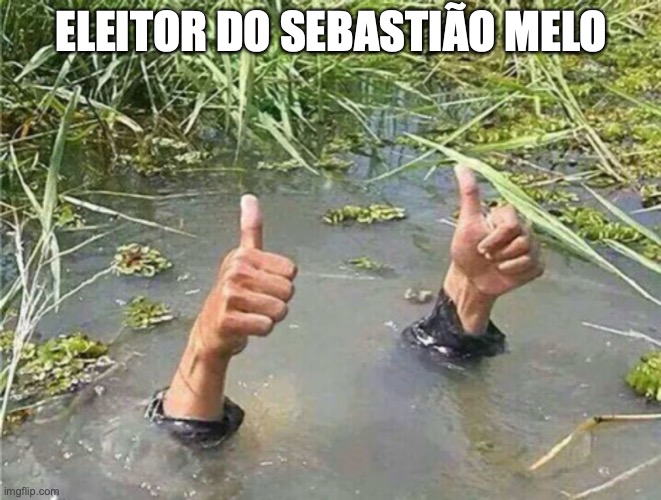 Sebastiao melo | ELEITOR DO SEBASTIÃO MELO | image tagged in enchente,sebastian melo,prefeito,porto alegre,2024 | made w/ Imgflip meme maker