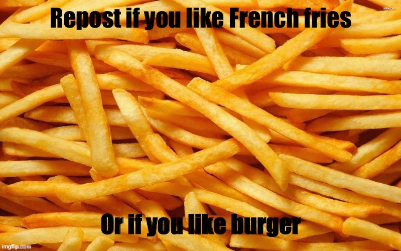borgiar | image tagged in no there isn t a sexual option too | made w/ Imgflip meme maker