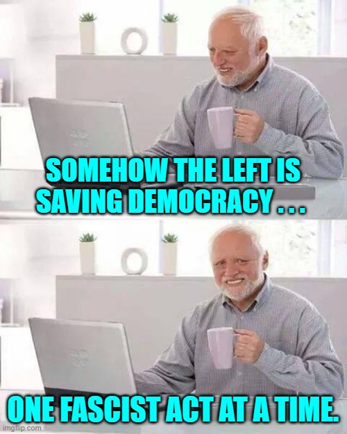 True story. | SOMEHOW THE LEFT IS SAVING DEMOCRACY . . . ONE FASCIST ACT AT A TIME. | image tagged in hide the pain harold | made w/ Imgflip meme maker