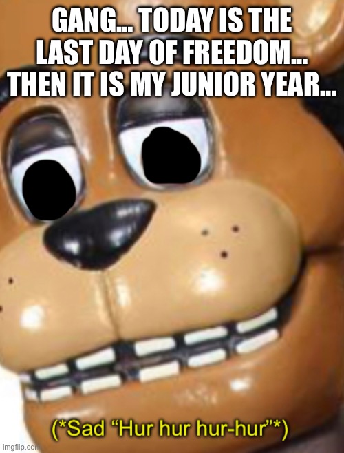 (*Sad “Hur hur hur-hur”*) | GANG… TODAY IS THE LAST DAY OF FREEDOM… THEN IT IS MY JUNIOR YEAR… | image tagged in sad hur hur hur-hur | made w/ Imgflip meme maker