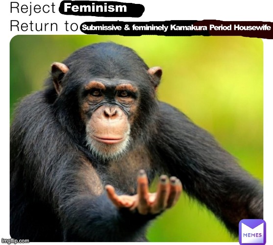 image tagged in feminism,politics,funny,japan,housewife,monke | made w/ Imgflip meme maker