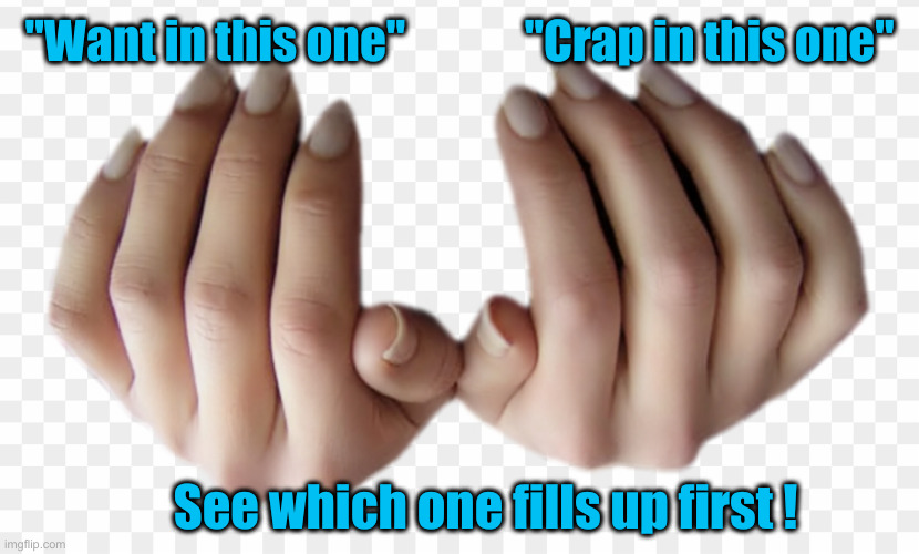 Two Grabbing Hands | "Want in this one"             "Crap in this one" See which one fills up first ! | image tagged in two grabbing hands | made w/ Imgflip meme maker