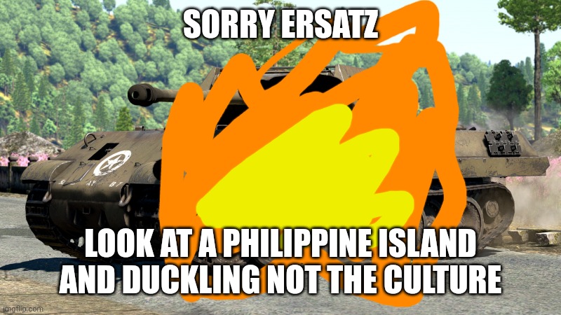 Nooooooo | SORRY ERSATZ; LOOK AT A PHILIPPINE ISLAND AND DUCKLING NOT THE CULTURE | image tagged in nooooooo | made w/ Imgflip meme maker