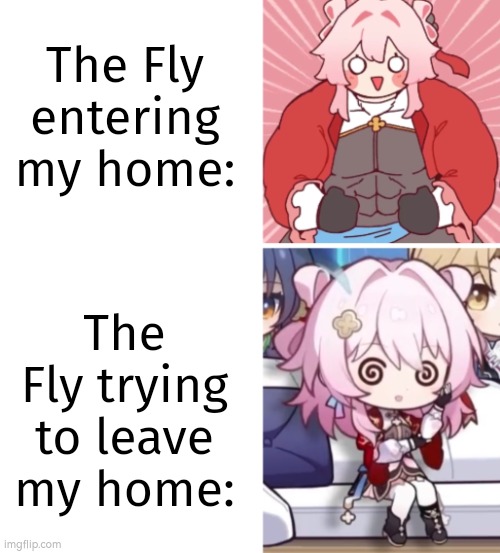 I wish those fly are also smart to leave our home. | The Fly entering my home:; The Fly trying to leave my home: | image tagged in memes,funny,relatable,fly | made w/ Imgflip meme maker