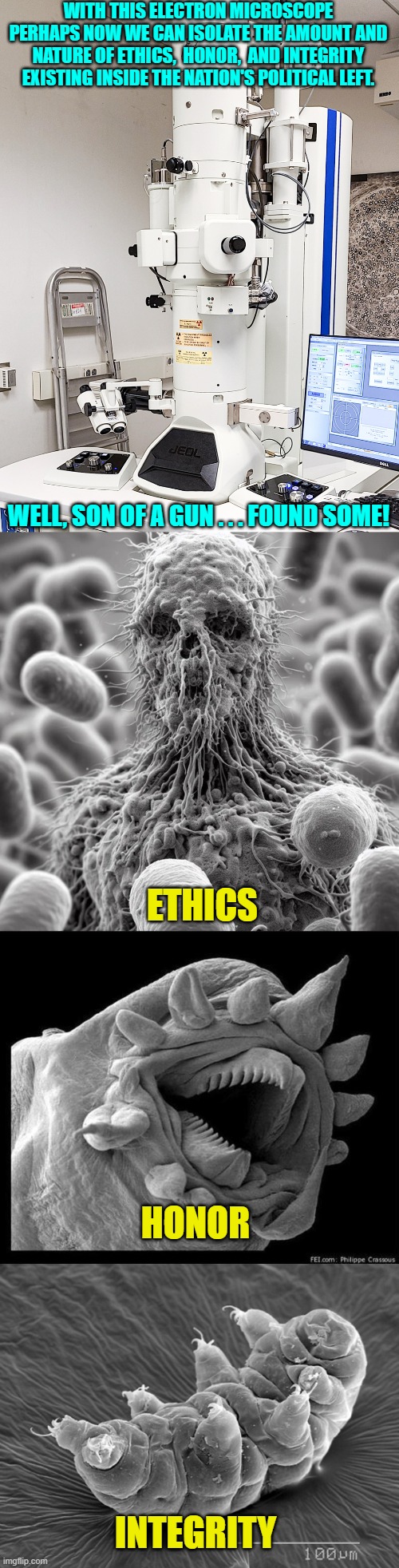 To nobody's surprise. | WITH THIS ELECTRON MICROSCOPE PERHAPS NOW WE CAN ISOLATE THE AMOUNT AND NATURE OF ETHICS,  HONOR,  AND INTEGRITY EXISTING INSIDE THE NATION'S POLITICAL LEFT. WELL, SON OF A GUN . . . FOUND SOME! ETHICS; HONOR; INTEGRITY | image tagged in yep | made w/ Imgflip meme maker