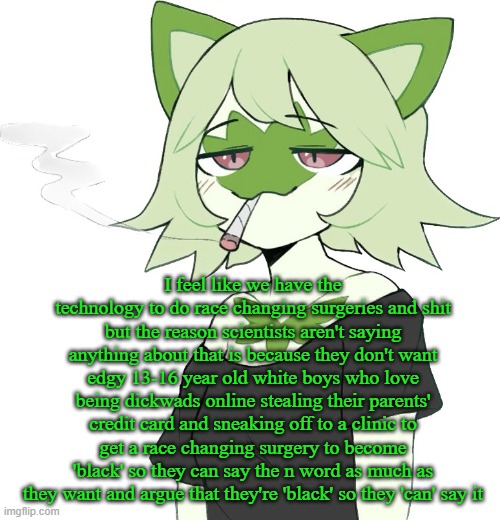 weed cat | I feel like we have the technology to do race changing surgeries and shit but the reason scientists aren't saying anything about that is because they don't want edgy 13-16 year old white boys who love being dickwads online stealing their parents' credit card and sneaking off to a clinic to get a race changing surgery to become 'black' so they can say the n word as much as they want and argue that they're 'black' so they 'can' say it | image tagged in weed cat | made w/ Imgflip meme maker