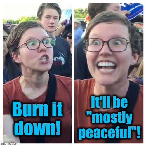 Social Justice Warrior Hypocrisy | Burn it
down! It'll be
"mostly
peaceful"! | image tagged in social justice warrior hypocrisy | made w/ Imgflip meme maker