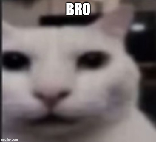 BRO | made w/ Imgflip meme maker