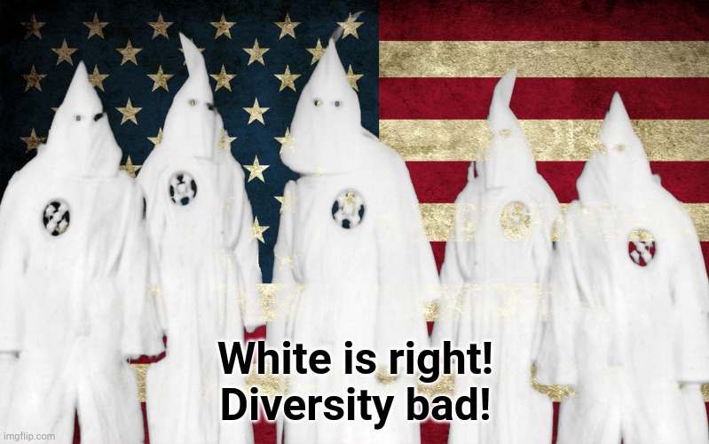 Opposition to diversity | White is right!
Diversity bad! | image tagged in ku klux klan | made w/ Imgflip meme maker