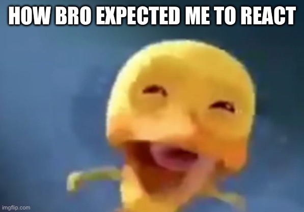 crying duck | HOW BRO EXPECTED ME TO REACT | image tagged in crying duck | made w/ Imgflip meme maker