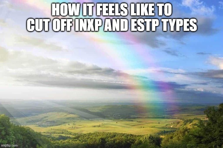 typology | HOW IT FEELS LIKE TO CUT OFF INXP AND ESTP TYPES | image tagged in mbti | made w/ Imgflip meme maker