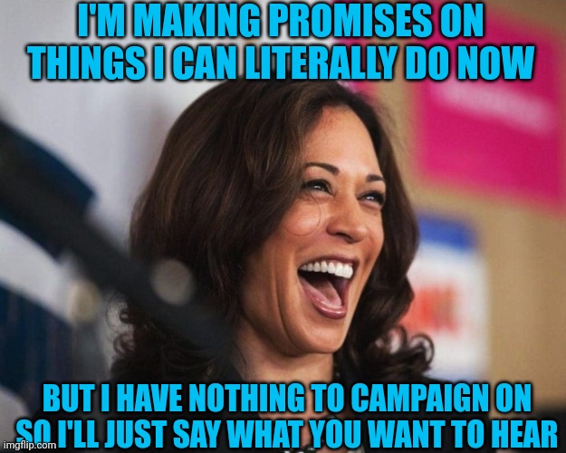 Lying clueless Kamala | I'M MAKING PROMISES ON THINGS I CAN LITERALLY DO NOW; BUT I HAVE NOTHING TO CAMPAIGN ON SO I'LL JUST SAY WHAT YOU WANT TO HEAR | image tagged in cackling kamala harris | made w/ Imgflip meme maker