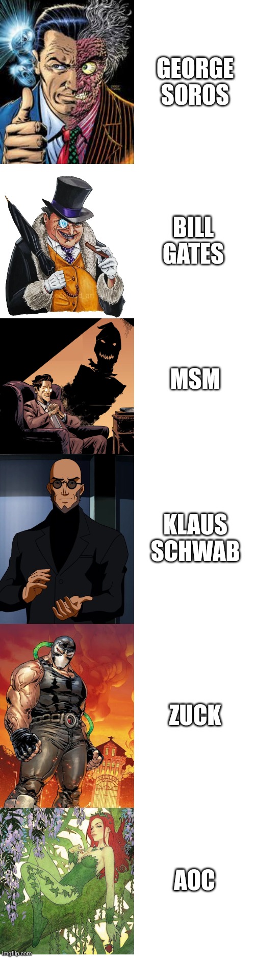 Batman Villians Musk | GEORGE SOROS; BILL GATES; MSM; KLAUS SCHWAB; ZUCK; AOC | image tagged in elon musk | made w/ Imgflip meme maker