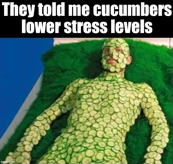 It did not work | They told me cucumbers lower stress levels | image tagged in cursed image | made w/ Imgflip meme maker