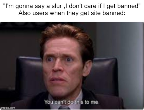 you cant do this to me | "I'm gonna say a slur ,I don't care if I get banned"
Also users when they get site banned: | image tagged in you cant do this to me | made w/ Imgflip meme maker