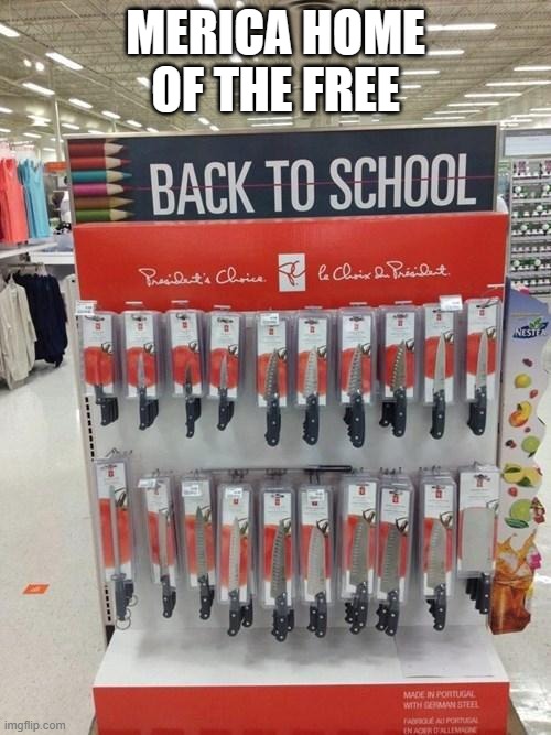 Back to school | MERICA HOME OF THE FREE | image tagged in back to school | made w/ Imgflip meme maker