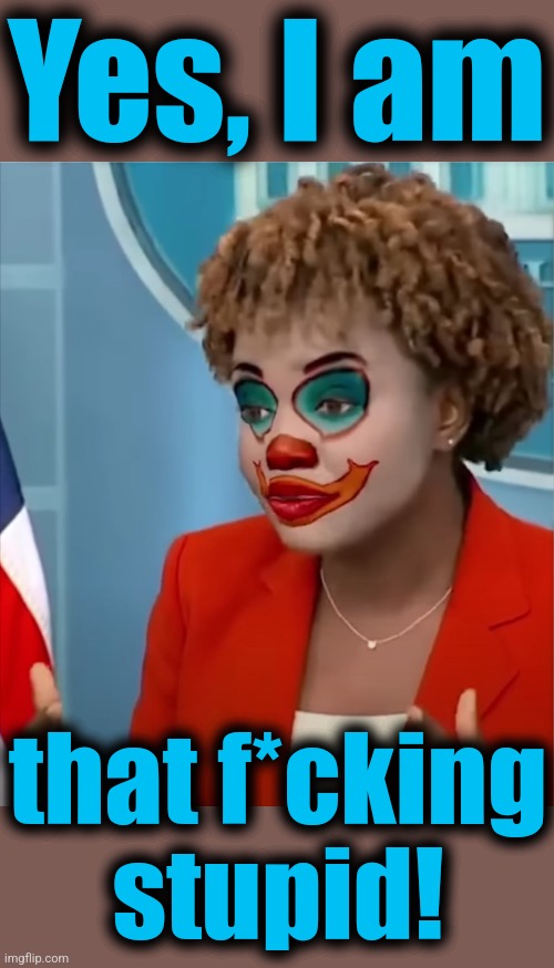 Press Clown | Yes, I am that f*cking
stupid! | image tagged in press clown | made w/ Imgflip meme maker