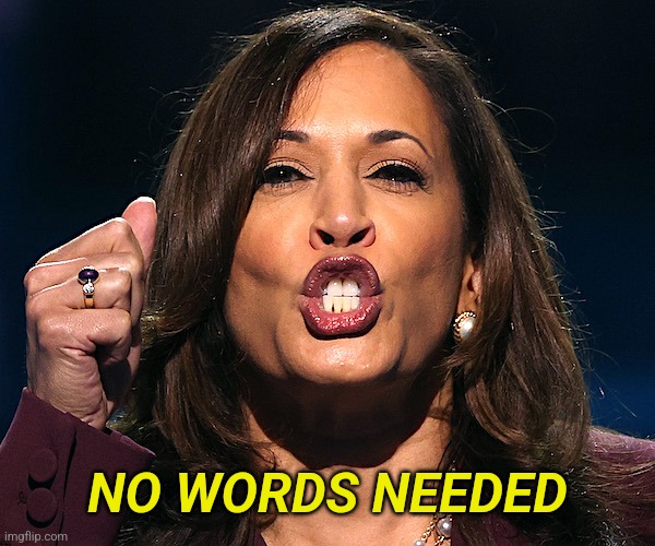 Harris | NO WORDS NEEDED | image tagged in harris | made w/ Imgflip meme maker