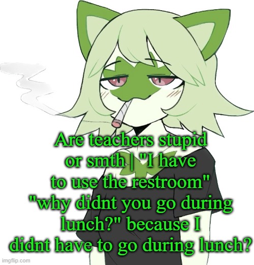 weed cat | Are teachers stupid or smth | "I have to use the restroom" "why didnt you go during lunch?" because I didnt have to go during lunch? | image tagged in weed cat | made w/ Imgflip meme maker