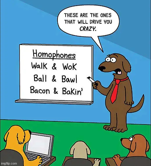 Drives your dog crazy | image tagged in comics/cartoons | made w/ Imgflip meme maker