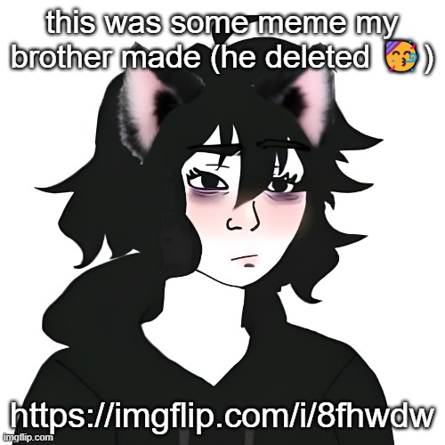 Catgirl wojak | this was some meme my brother made (he deleted 🥳); https://imgflip.com/i/8fhwdw | image tagged in catgirl wojak | made w/ Imgflip meme maker