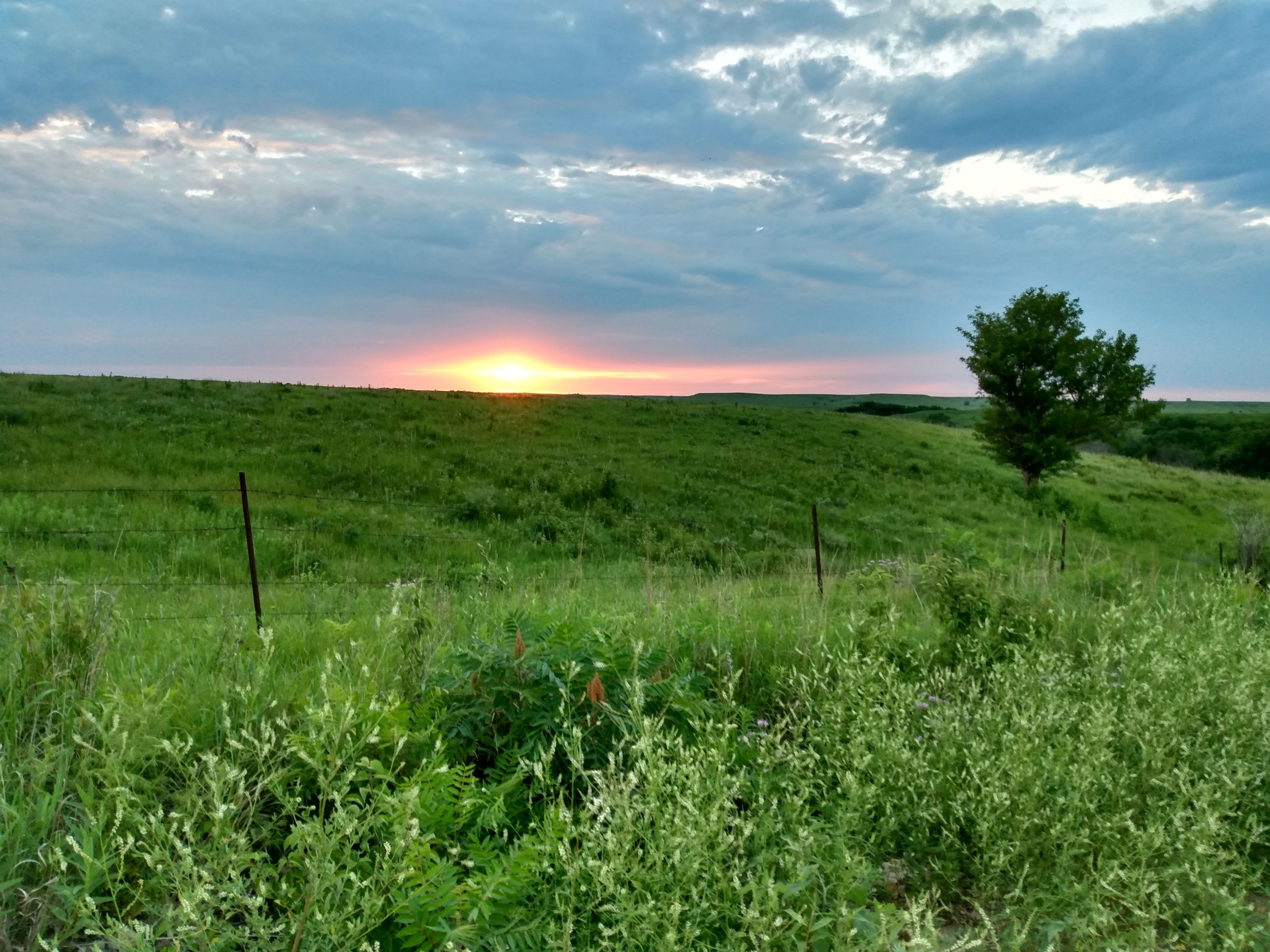 High Quality Prairie and sunset Blank Meme Template