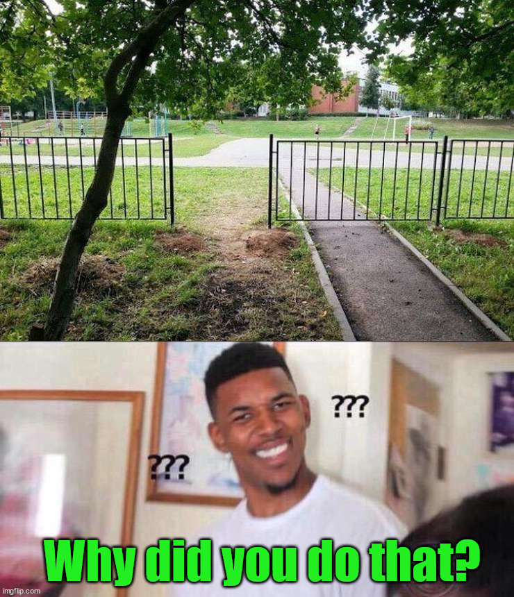 Missed the path | Why did you do that? | image tagged in black guy confused | made w/ Imgflip meme maker