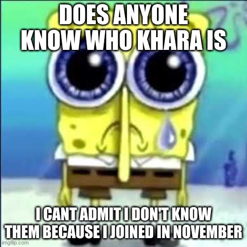 Sad Spongebob | DOES ANYONE KNOW WHO KHARA IS; I CANT ADMIT I DON'T KNOW THEM BECAUSE I JOINED IN NOVEMBER | image tagged in sad spongebob | made w/ Imgflip meme maker