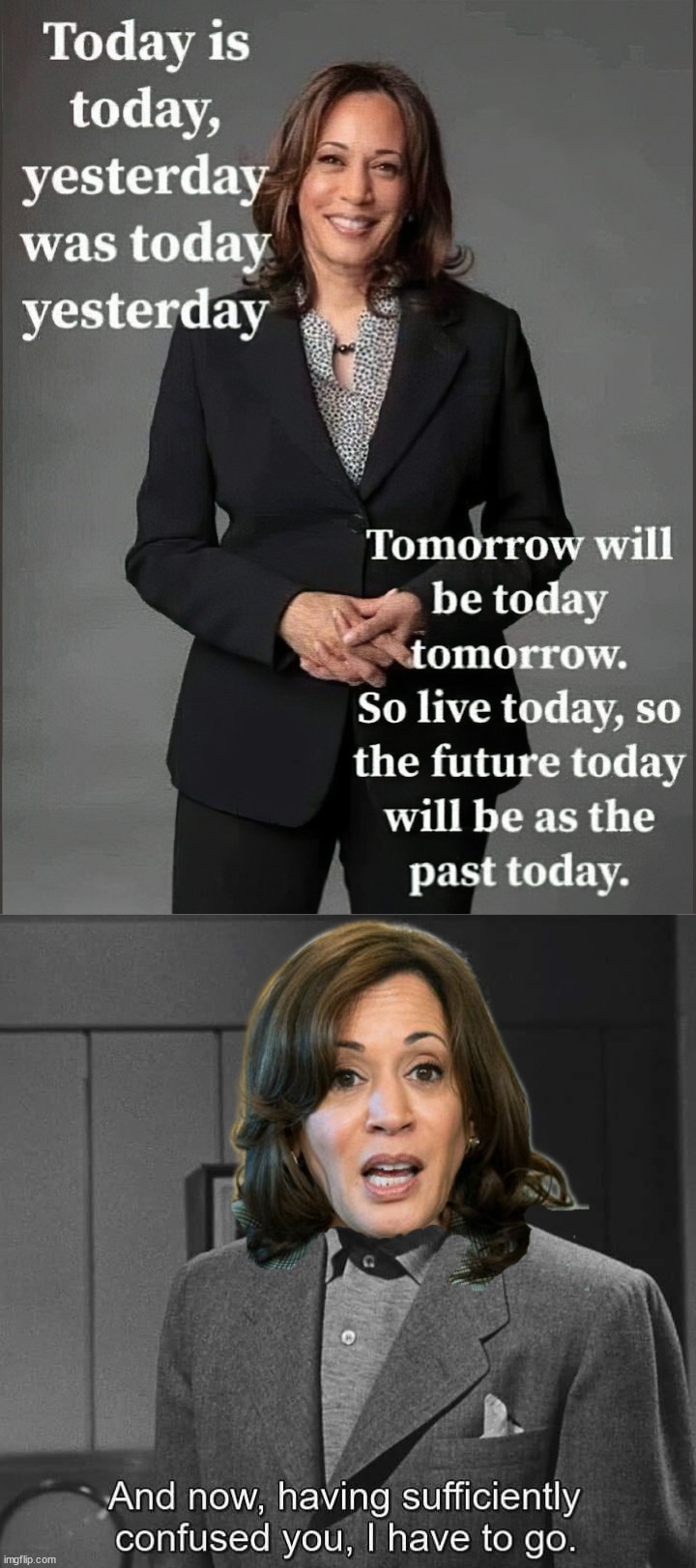 She likes word salad | image tagged in politics,kamala harris | made w/ Imgflip meme maker