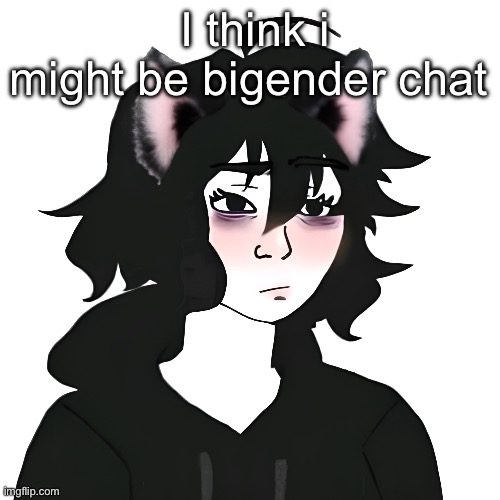 Catgirl wojak | I think i might be bigender chat | image tagged in catgirl wojak | made w/ Imgflip meme maker