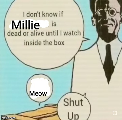 Pt3 | Millie; Meow | image tagged in i don't know if ____ is dead or alive | made w/ Imgflip meme maker