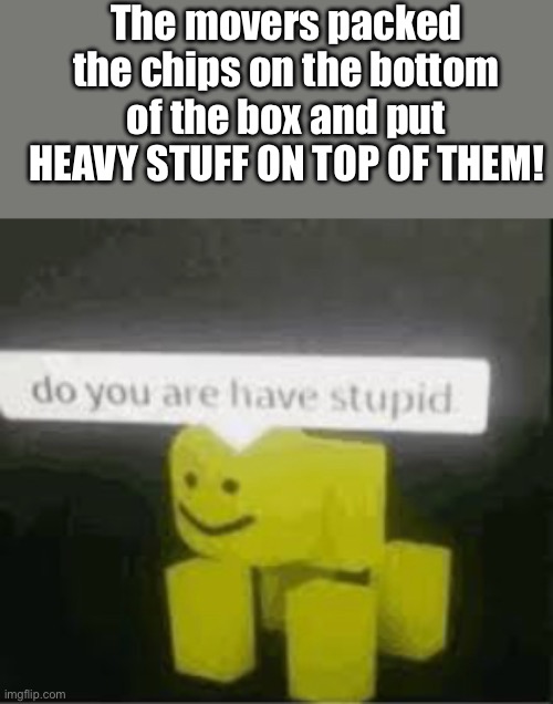 LIKE, ARE YOU ACTUALLY STUPID!? | The movers packed the chips on the bottom of the box and put HEAVY STUFF ON TOP OF THEM! | image tagged in do you are have stupid | made w/ Imgflip meme maker