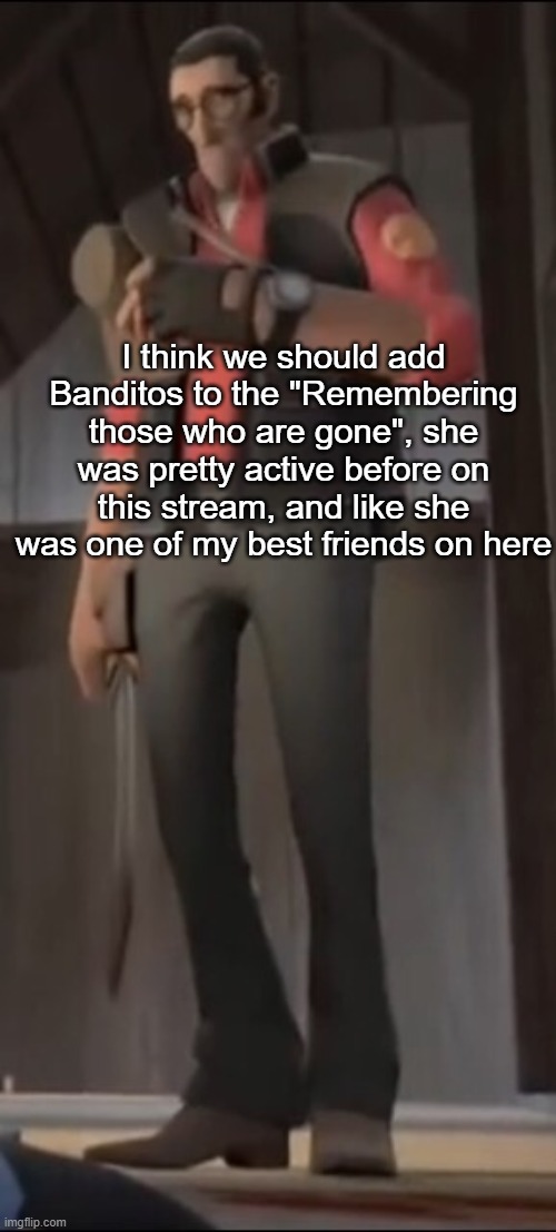 She's alive, her parents just found her stuff and she having to burn all the evidence online | I think we should add Banditos to the "Remembering those who are gone", she was pretty active before on this stream, and like she was one of my best friends on here | made w/ Imgflip meme maker