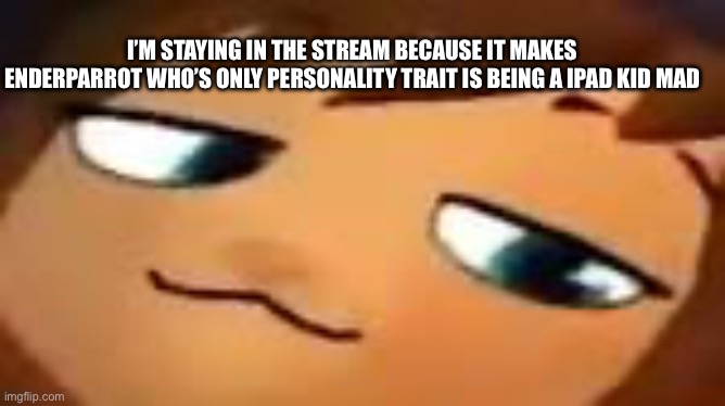 smug hat kid.mp4 | I’M STAYING IN THE STREAM BECAUSE IT MAKES ENDERPARROT WHO’S ONLY PERSONALITY TRAIT IS BEING A IPAD KID MAD | image tagged in smug hat kid mp4 | made w/ Imgflip meme maker