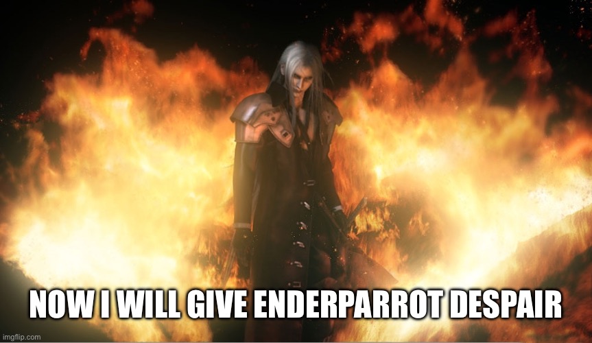 Sephiroth in Fire | NOW I WILL GIVE ENDERPARROT DESPAIR | image tagged in sephiroth in fire | made w/ Imgflip meme maker