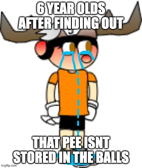 6 YEAR OLDS AFTER FINDING OUT; THAT PEE ISNT STORED IN THE BALLS | image tagged in smg5 crying | made w/ Imgflip meme maker