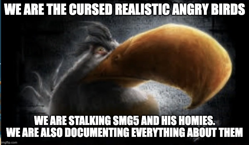 Realistic Mighty Eagle | WE ARE THE CURSED REALISTIC ANGRY BIRDS; WE ARE STALKING SMG5 AND HIS HOMIES. WE ARE ALSO DOCUMENTING EVERYTHING ABOUT THEM | image tagged in realistic mighty eagle | made w/ Imgflip meme maker