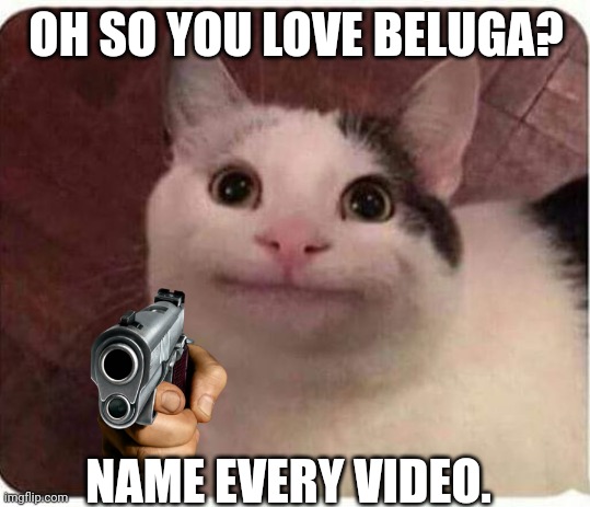 Polite Cat | OH SO YOU LOVE BELUGA? NAME EVERY VIDEO. | image tagged in polite cat | made w/ Imgflip meme maker