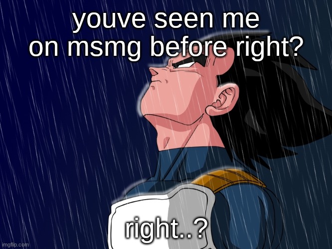 Vegeta Rain | youve seen me on msmg before right? right..? | image tagged in vegeta rain | made w/ Imgflip meme maker