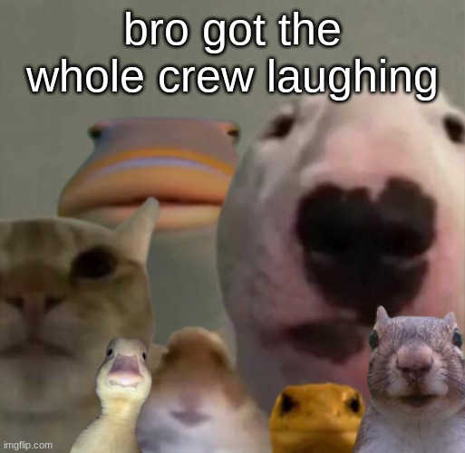 The council remastered | bro got the whole crew laughing | image tagged in the council remastered | made w/ Imgflip meme maker