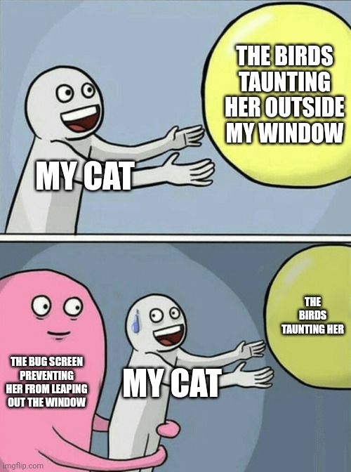 i was bored so i made this dumb meme | THE BIRDS TAUNTING HER OUTSIDE MY WINDOW; MY CAT; THE BIRDS TAUNTING HER; THE BUG SCREEN PREVENTING HER FROM LEAPING OUT THE WINDOW; MY CAT | image tagged in memes,running away balloon,cat,window,birds | made w/ Imgflip meme maker