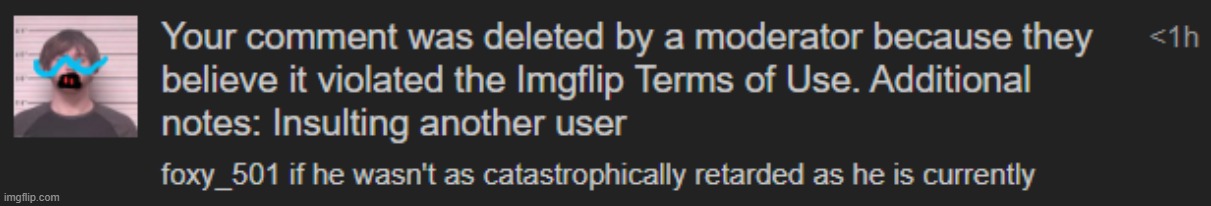 i could say this about literally any non-moderator user and not get banned | made w/ Imgflip meme maker