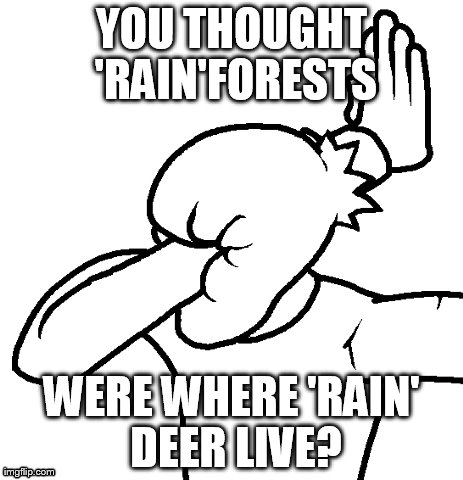 facepalm | YOU THOUGHT 'RAIN'FORESTS WERE WHERE 'RAIN' DEER LIVE? | image tagged in fail | made w/ Imgflip meme maker