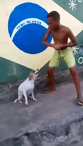 Dog dance Blank Meme Template