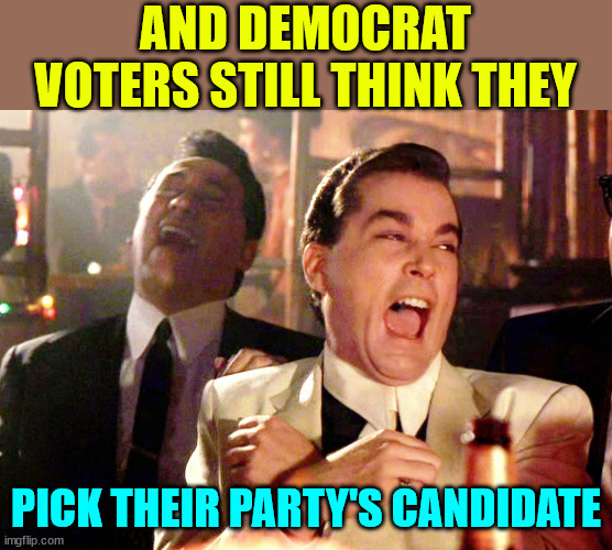 Good Fellas Hilarious Meme | AND DEMOCRAT VOTERS STILL THINK THEY PICK THEIR PARTY'S CANDIDATE | image tagged in memes,good fellas hilarious | made w/ Imgflip meme maker