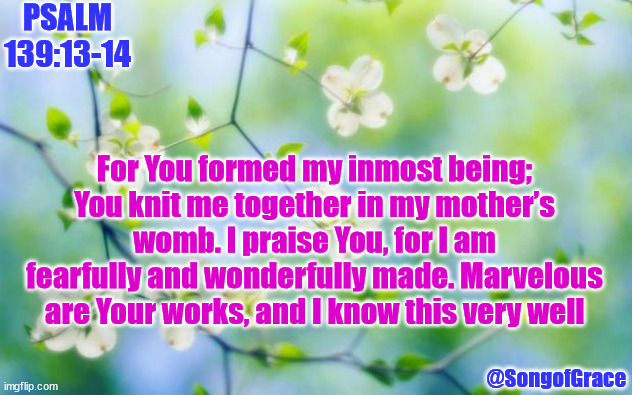 flowers | PSALM 139:13-14; For You formed my inmost being; You knit me together in my mother’s womb. I praise You, for I am fearfully and wonderfully made. Marvelous are Your works, and I know this very well; @SongofGrace | image tagged in flowers | made w/ Imgflip meme maker